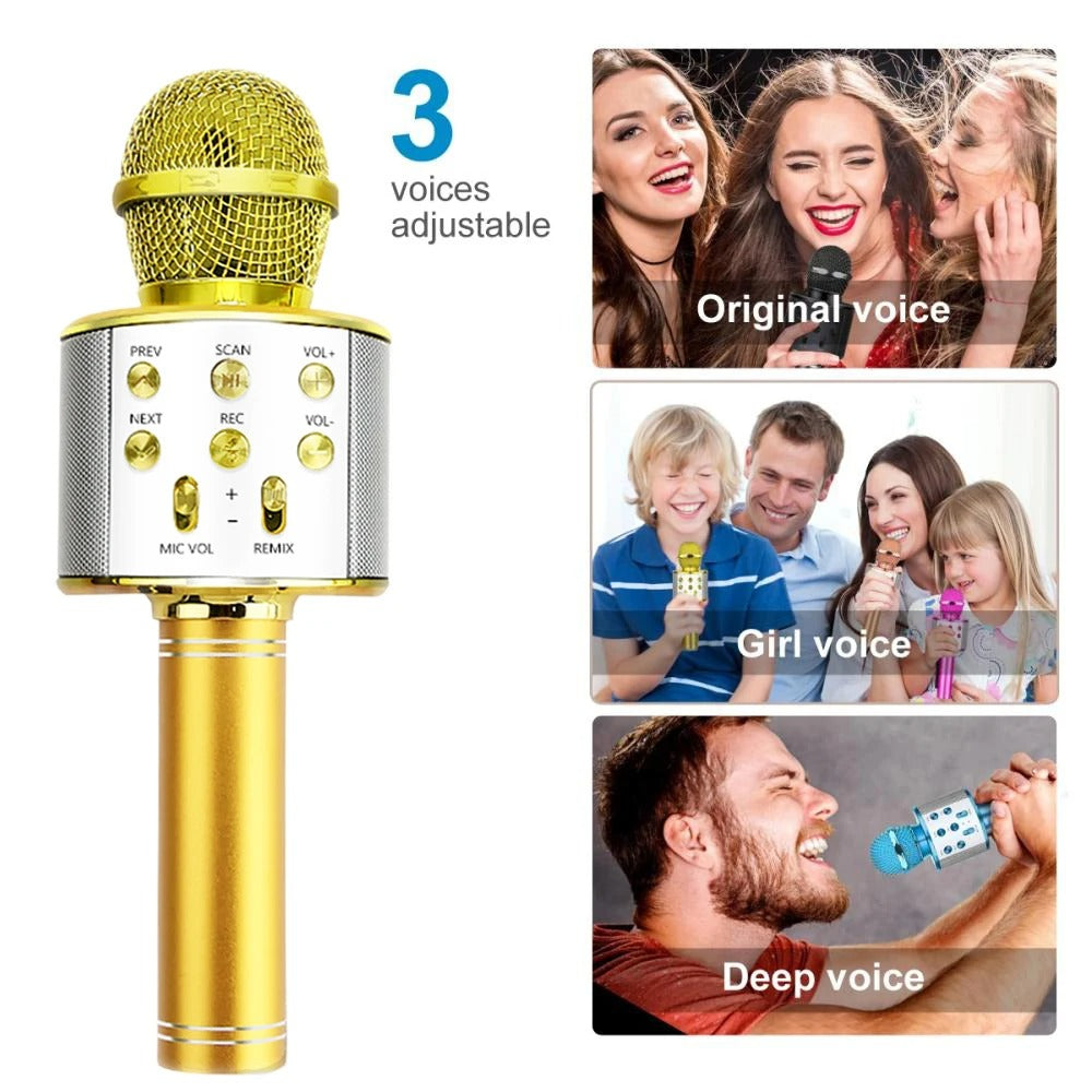 Microphone karaoké sans fil WS-858 Bluetooth déterminer haut-parleur portable