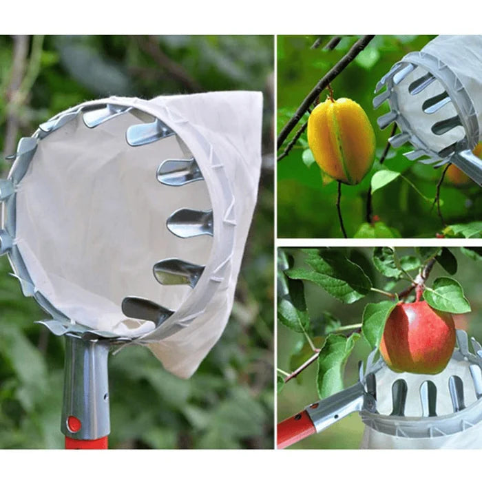 Panier de tête de cueilleur de fruits