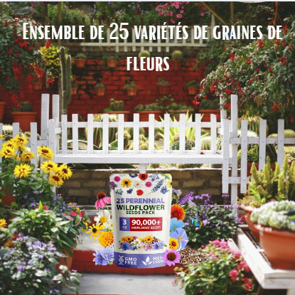 Ensemble de 25 variétés de graines de fleurs