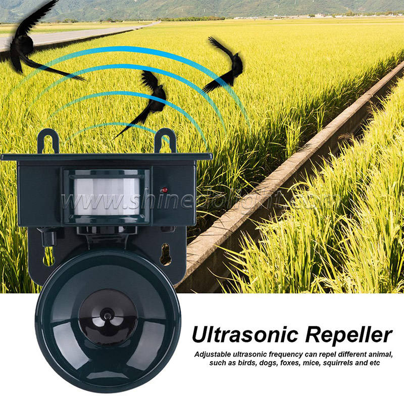 Répulsif Solaire Ultrasonique pour Oiseaux et Animaux Indésirables