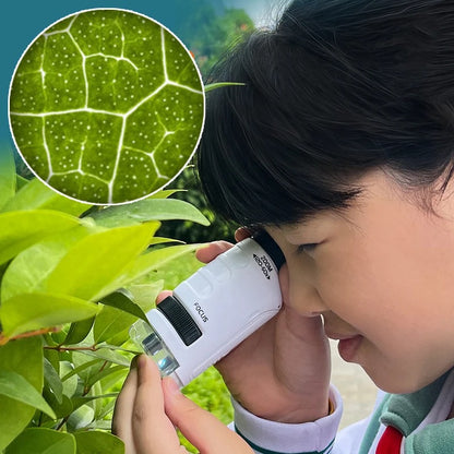 Microscope de Poche Portable pour Enfants