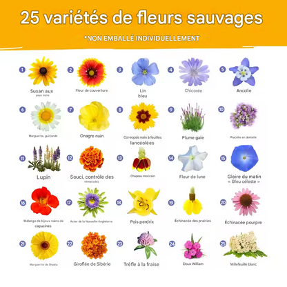 Ensemble de 25 variétés de graines de fleurs