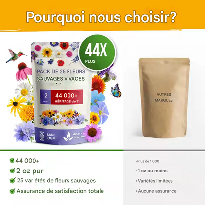 Ensemble de 25 variétés de graines de fleurs