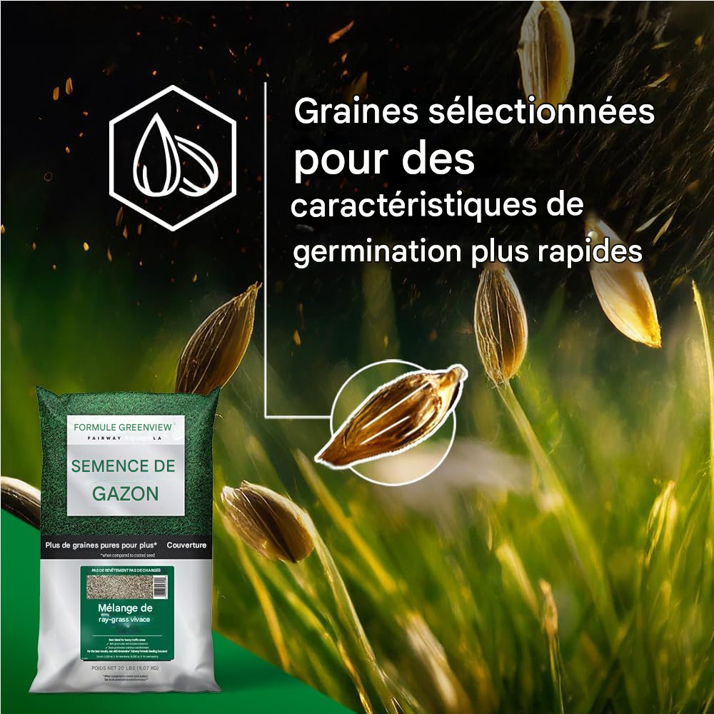 Gazon vert 300 G