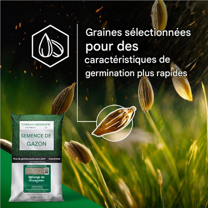 Gazon vert 300 G