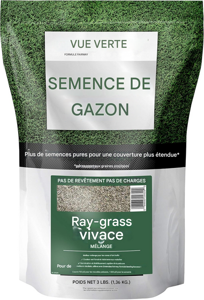 Gazon vert 300 G