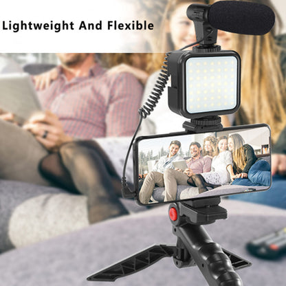 Kit de création vidéo StudioVision avec microphone et lampe led portable pour trépied